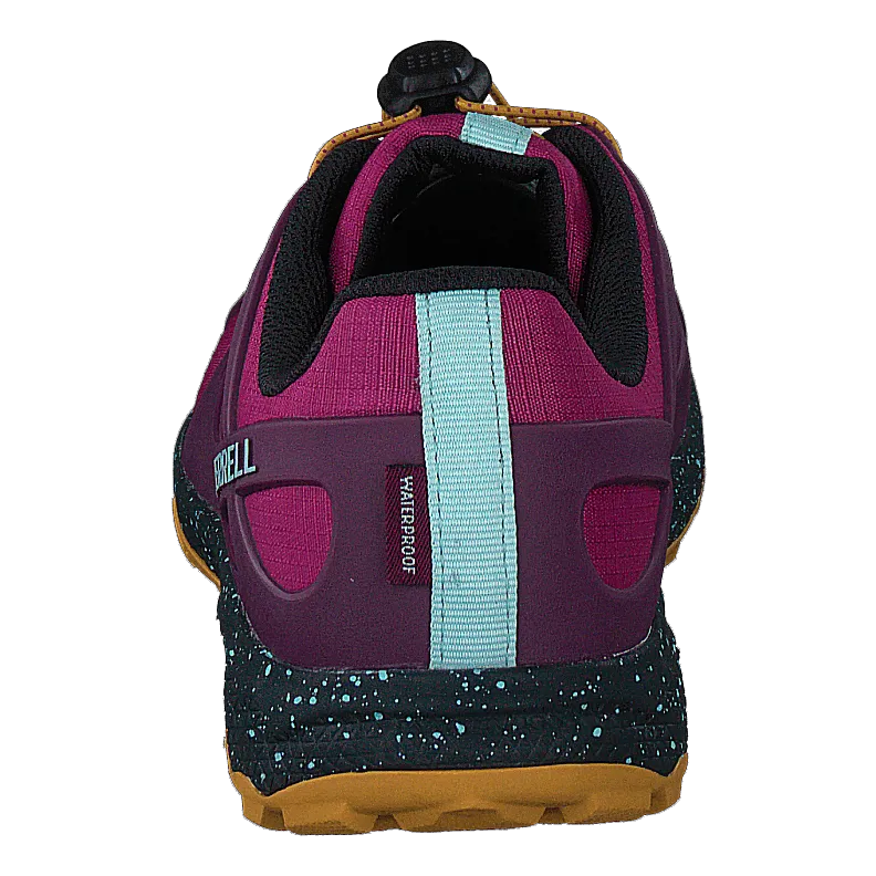 Altalight Low A/c Wtpf Fucshia